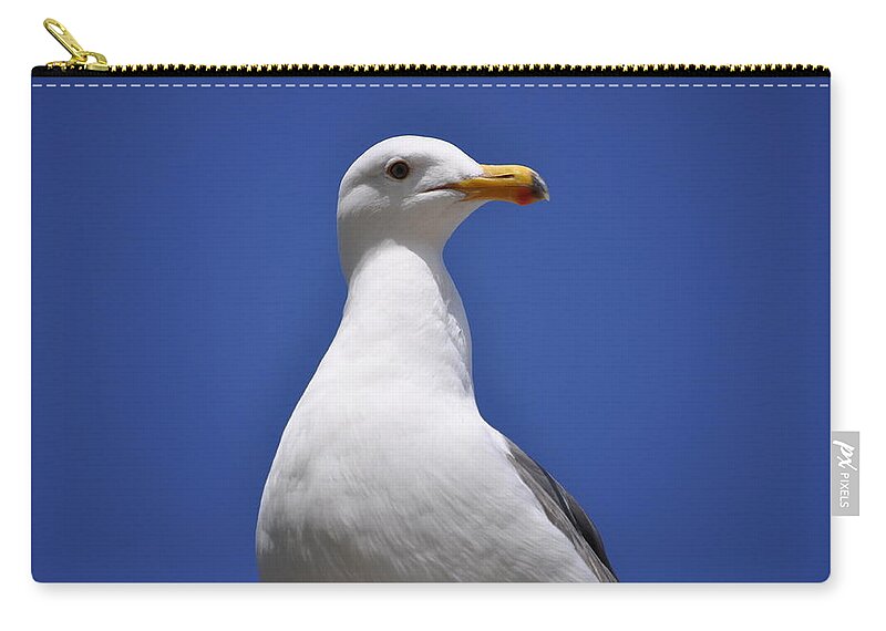 Mission Bay Zip Pouch featuring the photograph Seagull by Bridgette Gomes