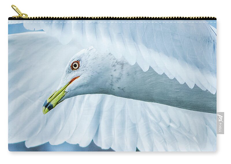 20170128 Zip Pouch featuring the photograph Seagull Hover Close-Up by Jeff at JSJ Photography