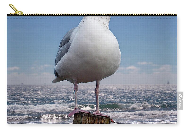 Seagull Zip Pouch featuring the photograph Seagull On The Shoreline by Phil Perkins