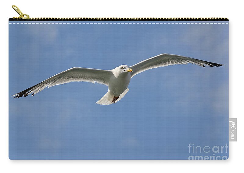 Gull Zip Pouch featuring the photograph Seagull patrol by Steev Stamford