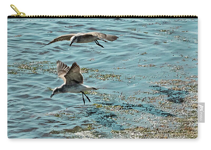 Seagull Zip Pouch featuring the photograph Seagulls and Terns in Key West by Bob Slitzan