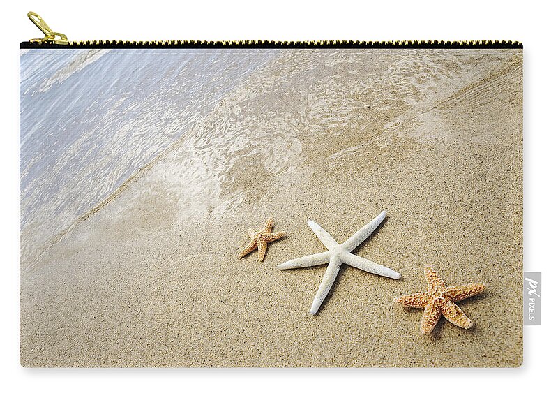 Afternoon Carry-all Pouch featuring the photograph Seastars on Beach by Mary Van de Ven - Printscapes