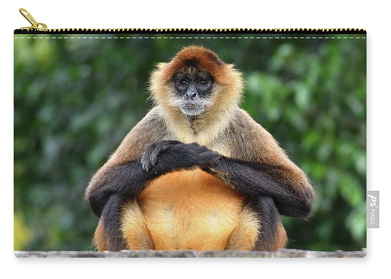 Monkey Zip Pouch featuring the photograph Seated Gibbon by Artful Imagery