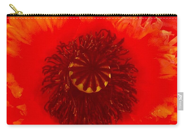 Flower Carry-all Pouch featuring the photograph Seattle by Denise Railey