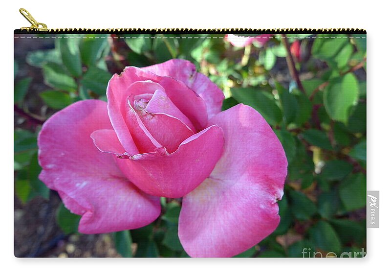 Rose Zip Pouch featuring the photograph Sedona Rose by Mars Besso