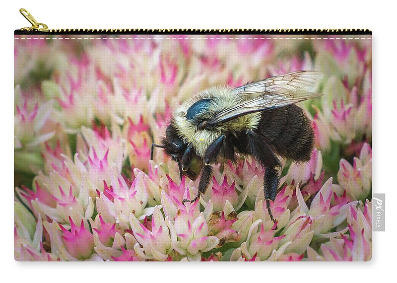 Bee Zip Pouch featuring the photograph Sedum Bumbler by Bill Pevlor