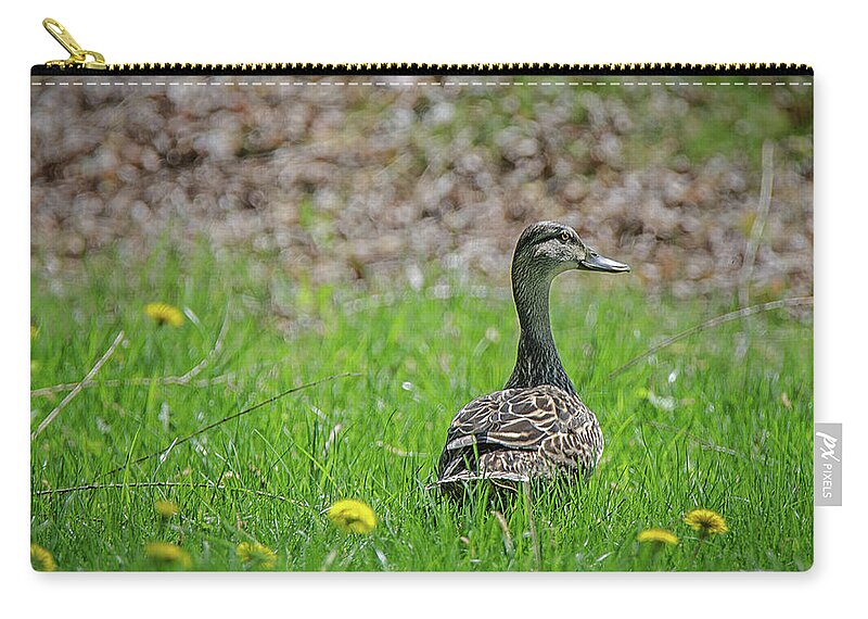 See And Be Seen Zip Pouch featuring the photograph See And Be Seen by Susan McMenamin