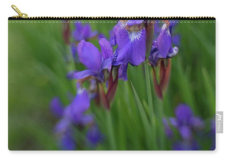 Iris Zip Pouch featuring the photograph See clearly now by Pamela Taylor