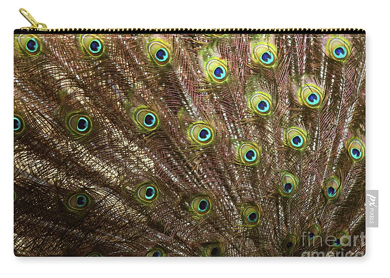 Landscape Zip Pouch featuring the photograph See Eye to Eye by Donna L Munro