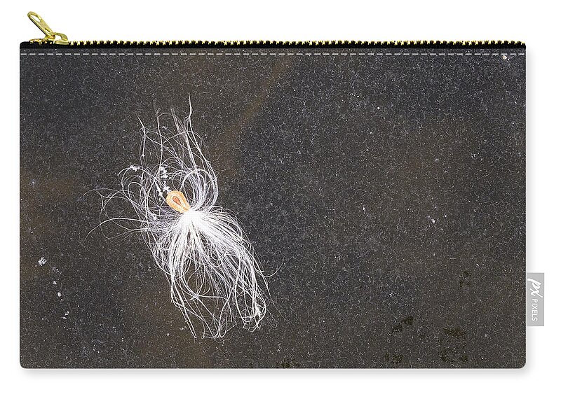 Ice Zip Pouch featuring the photograph Seed on Ice - Lake Wingra - Madison - Wisconsin by Steven Ralser