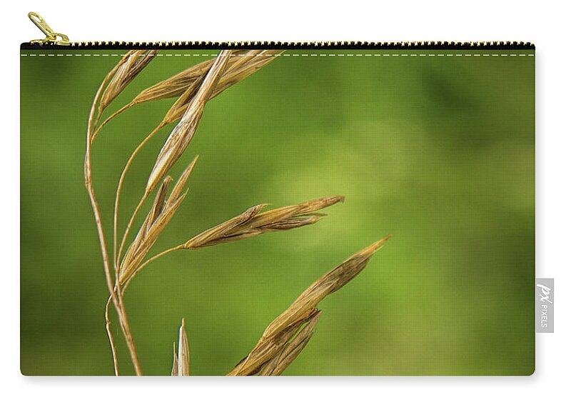 Grass Zip Pouch featuring the photograph Seedhead by Michael Hall