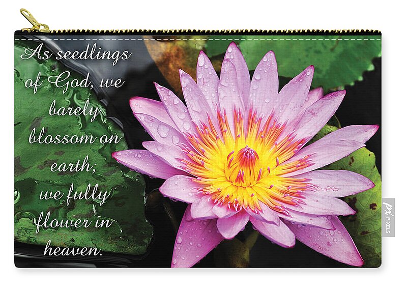 Water Lily Zip Pouch featuring the photograph Seedlings of God by Denise Bird