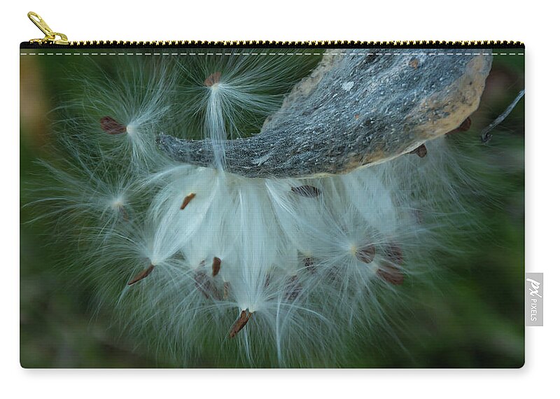 Seeds Zip Pouch featuring the photograph Seeds of Hope by Pravin Sitaraman