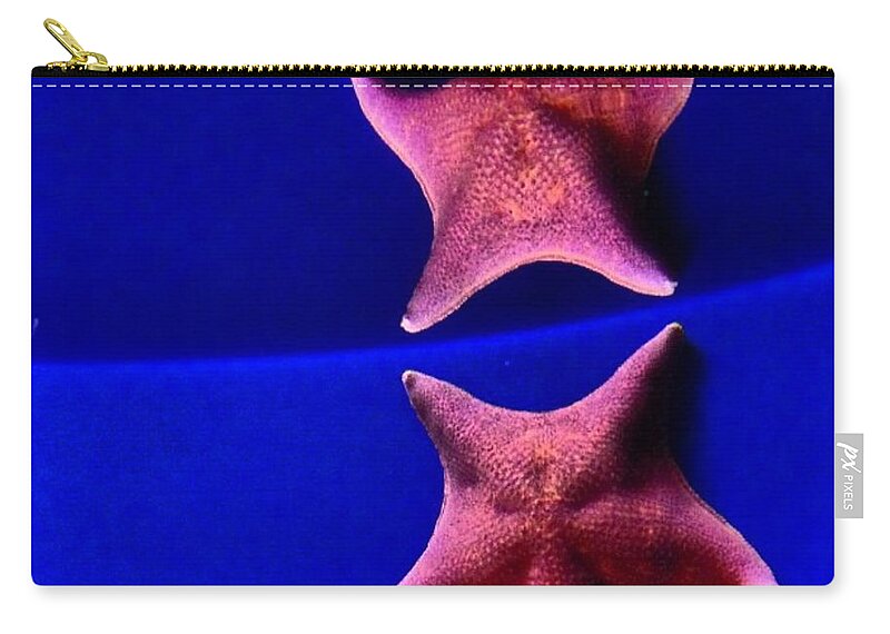 Star Fish Carry-all Pouch featuring the photograph Seeing Double by Denise Railey