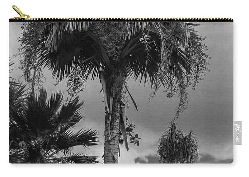  Zip Pouch featuring the photograph Selby Garden Palms by Susan Molnar