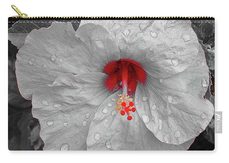 Flower Zip Pouch featuring the photograph Selected by Barry Bohn