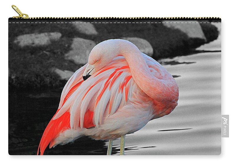 Flamingo Zip Pouch featuring the photograph Selective Color Flamingo by Shoal Hollingsworth