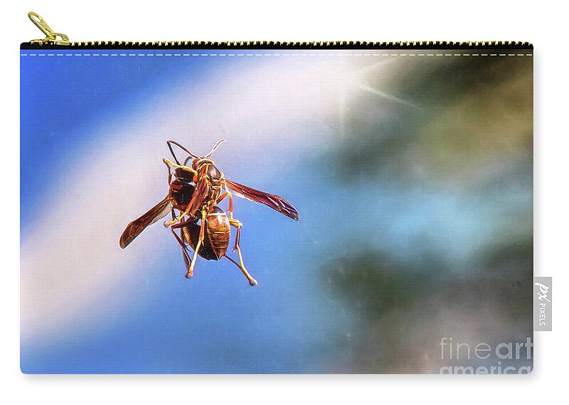 Wasp Zip Pouch featuring the photograph Self Reflection by Sharon McConnell