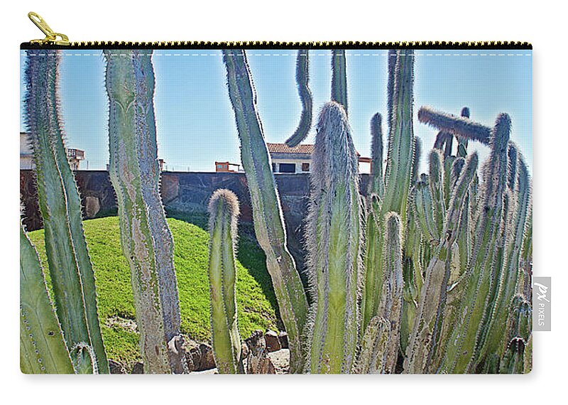 Senita Cacti At Encanto Resort South Of Puerto Penasco In Sonora Zip Pouch featuring the photograph Senita Cacti at Encanto Resort south of Puerto Penasco in Sonora-Mexico by Ruth Hager