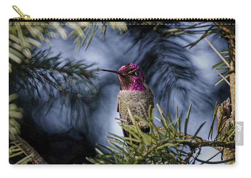 Hummingbird Zip Pouch featuring the photograph Sentry by Randy Hall