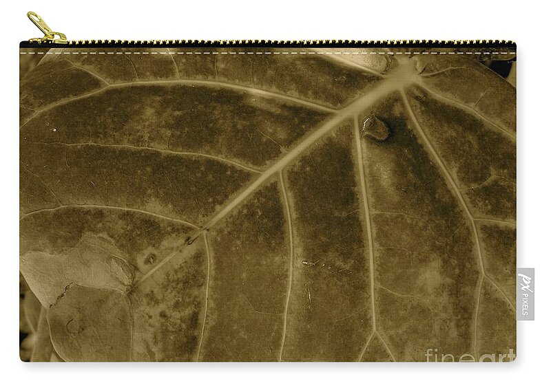 Leaf Carry-all Pouch featuring the photograph Sepia Foliage by Mafalda Cento