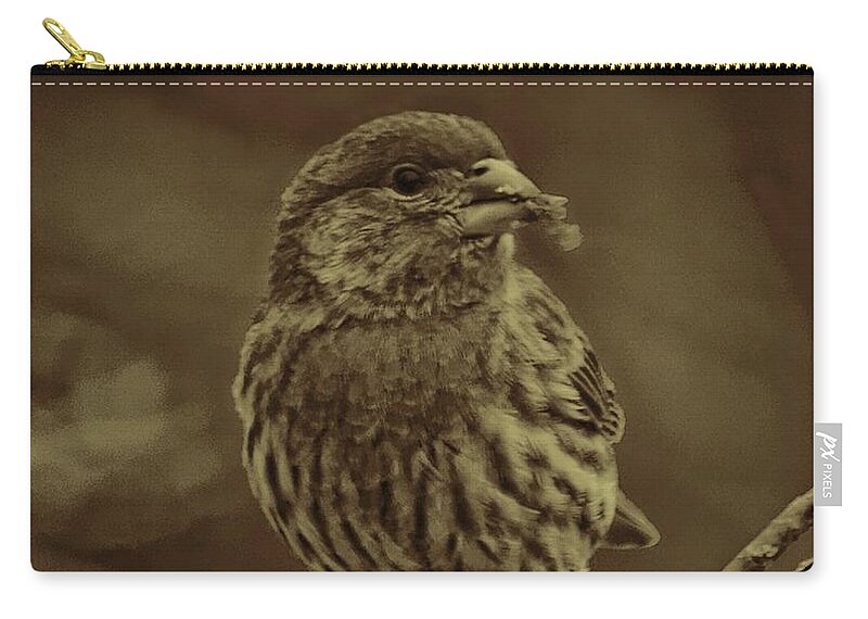 Sepia Zip Pouch featuring the photograph Sepia House Finch by Dale Kauzlaric
