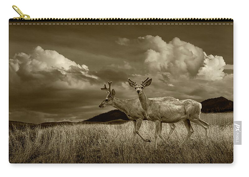 Deer Zip Pouch featuring the photograph Sepia Tone of Male Mule Deer with Velvet Antlers by Randall Nyhof