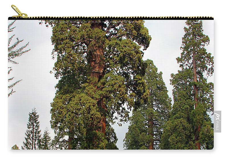 Sequoia National Park Zip Pouch featuring the photograph Sequoia Tree 6615 by Jack Schultz