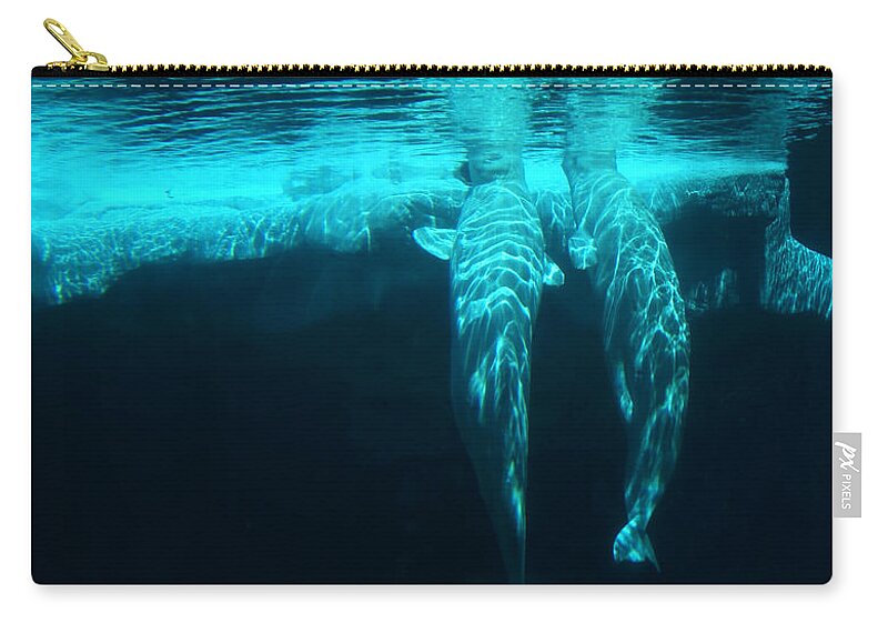 Whale Zip Pouch featuring the photograph Serenity by Linda Shafer