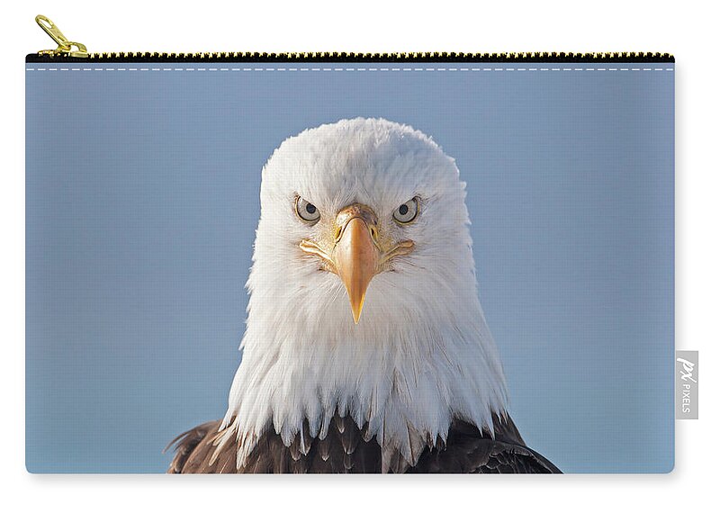 Eagle Zip Pouch featuring the photograph Serious Eagle by Mark Miller