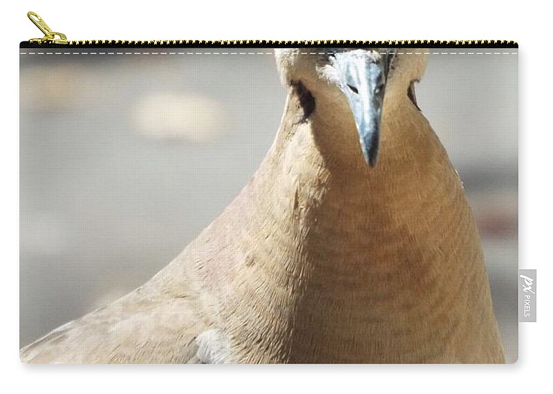 Greeting Card Zip Pouch featuring the photograph Seriously Happy Birthday by Michael Dillon