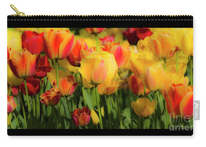 Seriously Zip Pouch featuring the photograph Seriously Spring - Bordered by Wendy Wilton