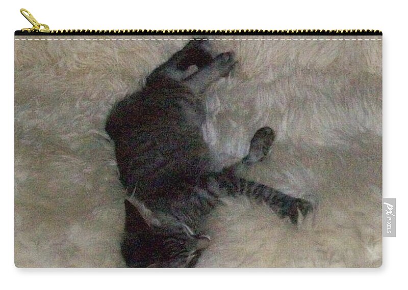 Kitten Zip Pouch featuring the photograph Seventh Heaven by Donna L Munro