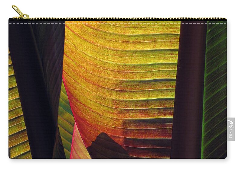 Leaf Zip Pouch featuring the photograph Shade by Deborah Crew-Johnson