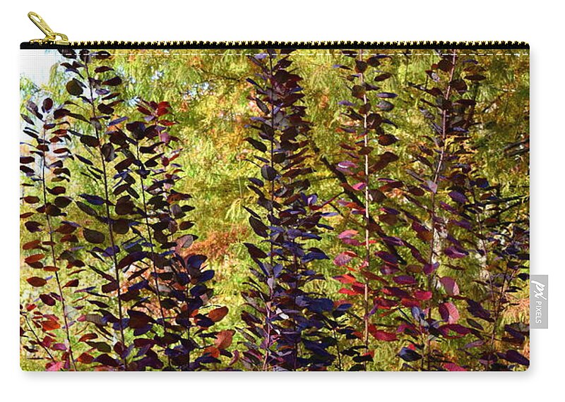 Fall Zip Pouch featuring the photograph Shades of Fall by Deborah Crew-Johnson