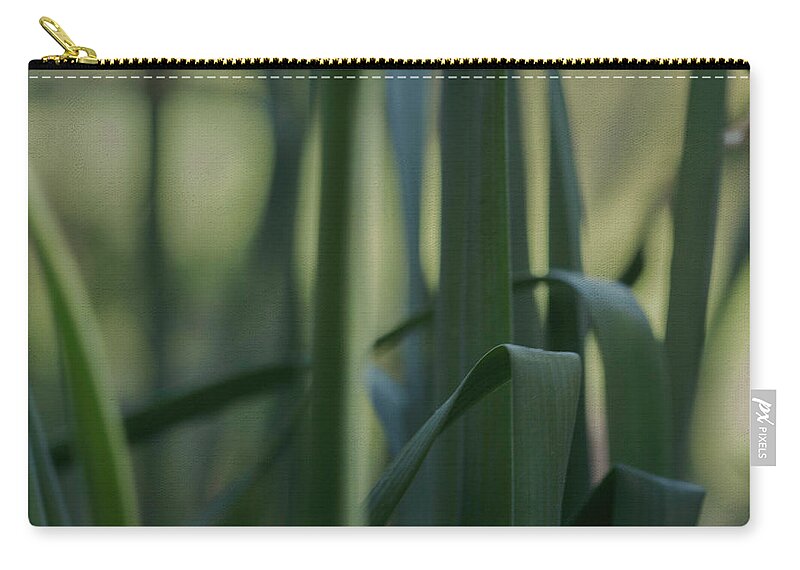 Leaves Zip Pouch featuring the photograph Shades Of Green by Arlene Carmel