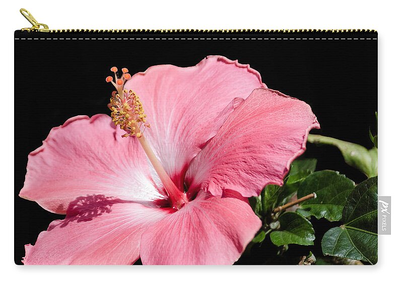 Pink Zip Pouch featuring the photograph Shadow Play by Debra Martz