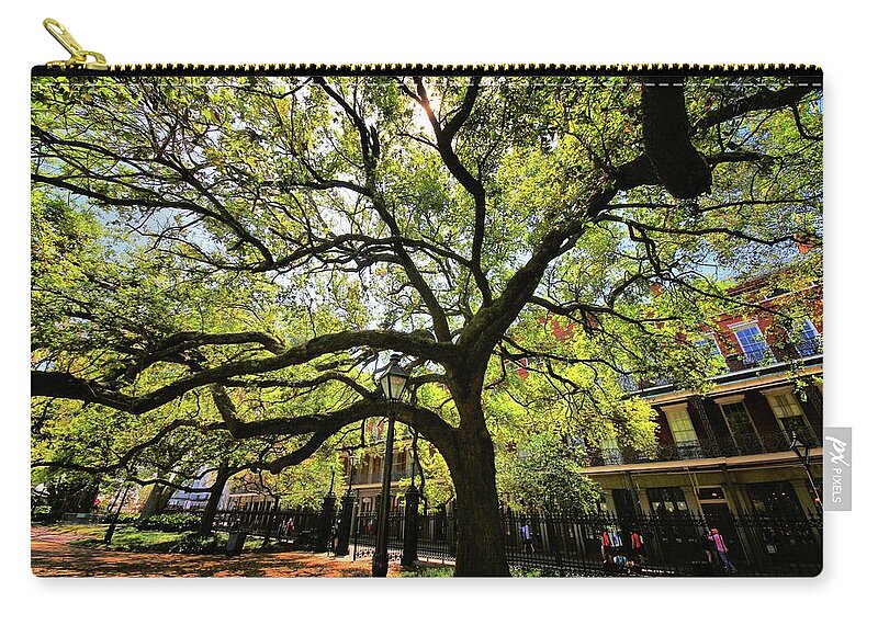 Trees Zip Pouch featuring the photograph Shady Lane by Robert McCubbin