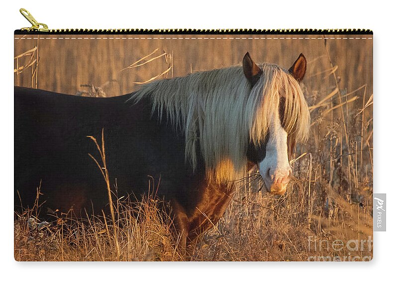 Wild Pony Zip Pouch featuring the photograph Shaggy Wild Pony II by Karen Jorstad