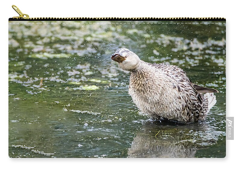 Bird Zip Pouch featuring the photograph Shake It Off by Wild Fotos