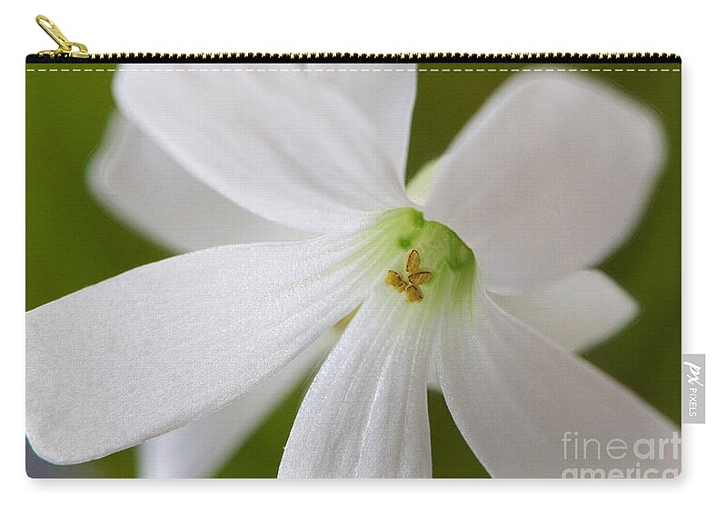 Sharmrock Zip Pouch featuring the photograph Shamrock Blossom by Sharon Talson