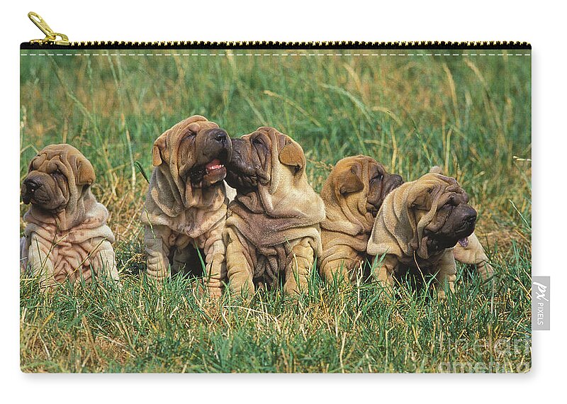 Animal Zip Pouch featuring the photograph Shar Pei Puppies Sitting On Grass by Gerard Lacz