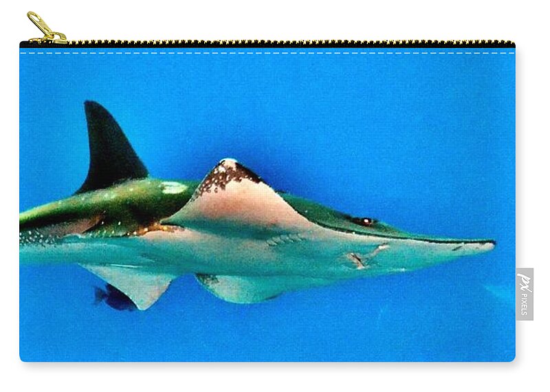 Fish Zip Pouch featuring the photograph Shark or Stingray by Eileen Brymer