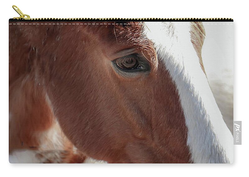 Horses Zip Pouch featuring the photograph Shelby Farms Horses by Veronica Batterson