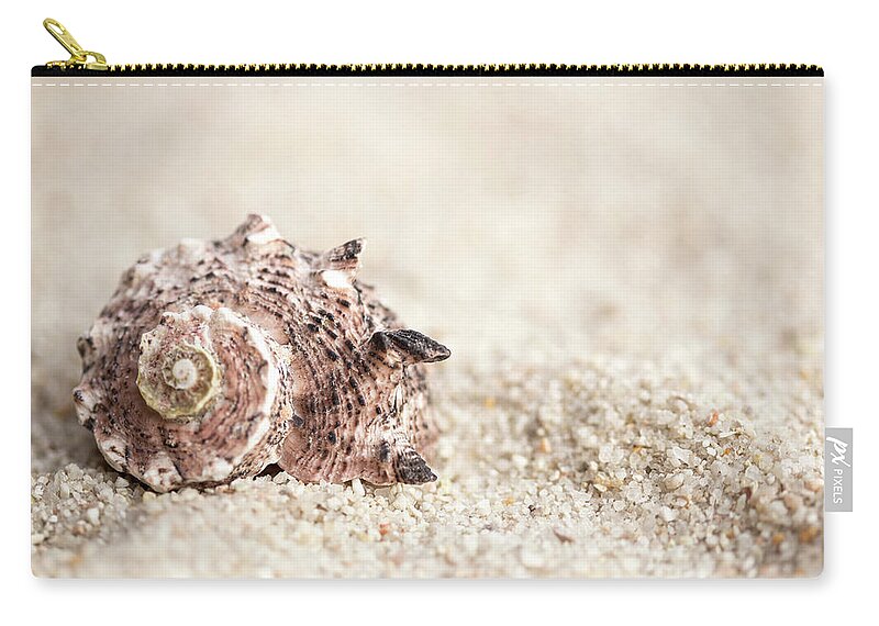 Shell Zip Pouch featuring the photograph Shell And Sand by MindGourmet