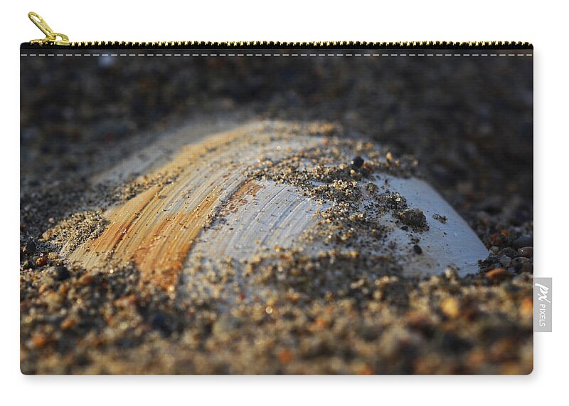 Shell Zip Pouch featuring the photograph Shell embedded in the sand by Toby McGuire