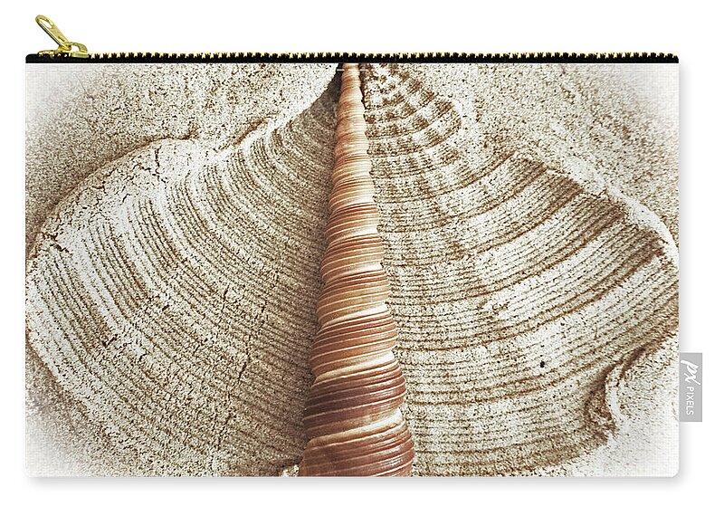 Shell Zip Pouch featuring the photograph Shell in the Sand by Kevin Fortier