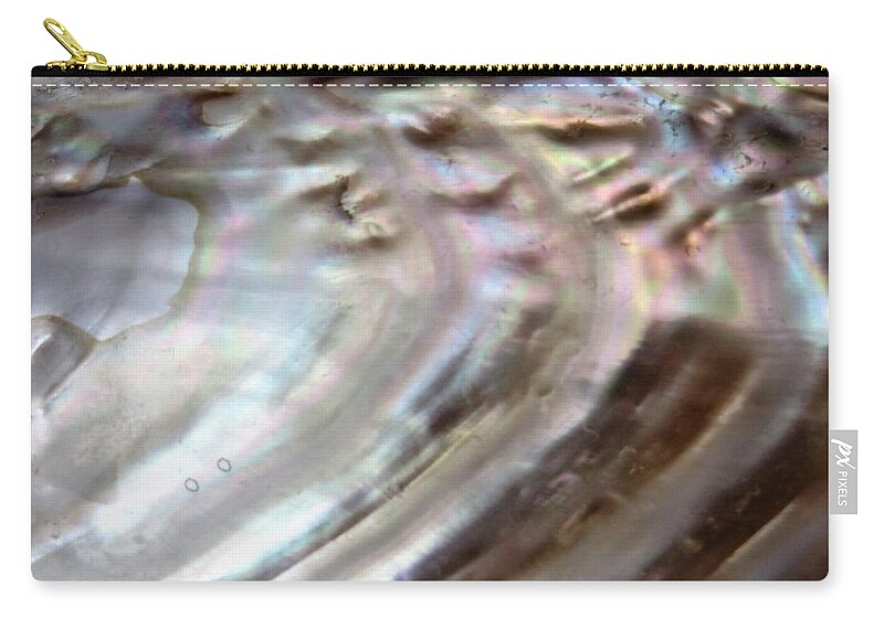 Photography Zip Pouch featuring the photograph Shell by Soraya Silvestri