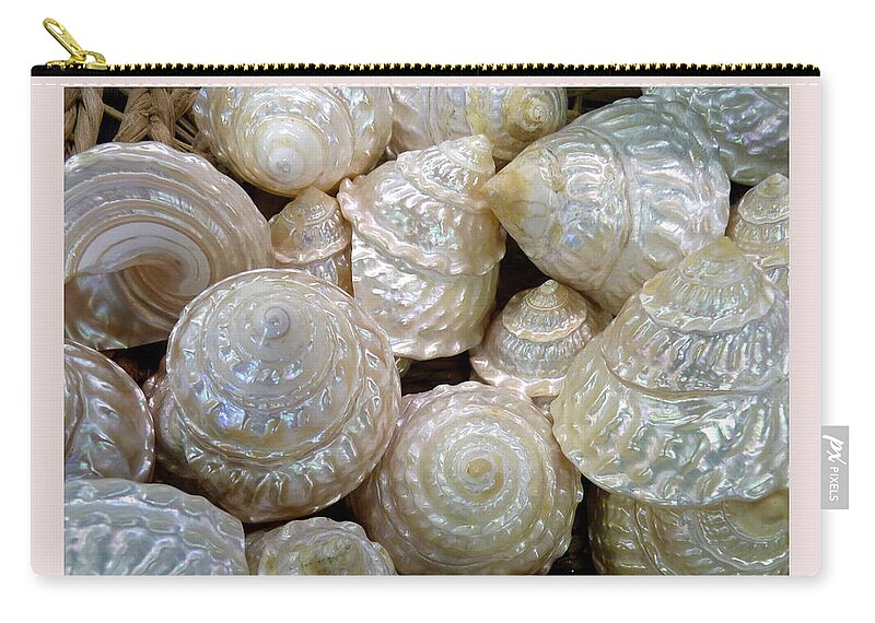 Shells Zip Pouch featuring the photograph Shells - 4 by Carla Parris