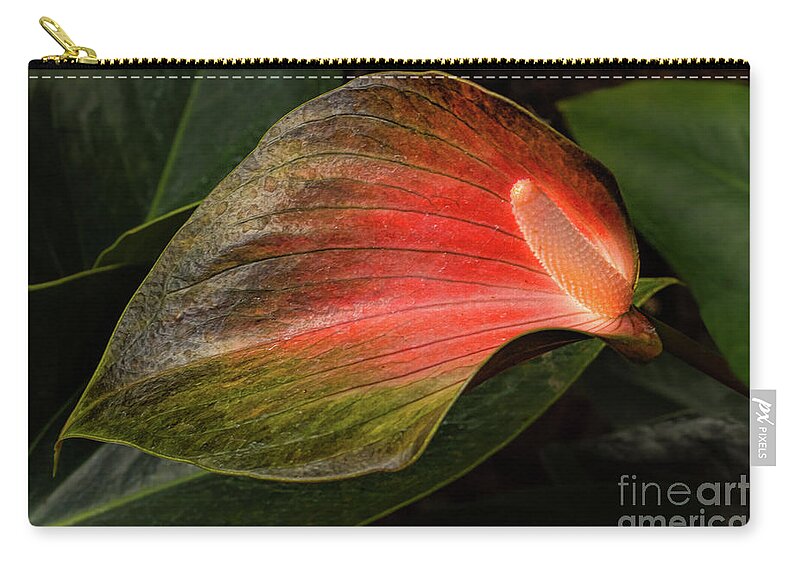 Flamingo Lily Zip Pouch featuring the photograph Shine a Light by Marilyn Cornwell